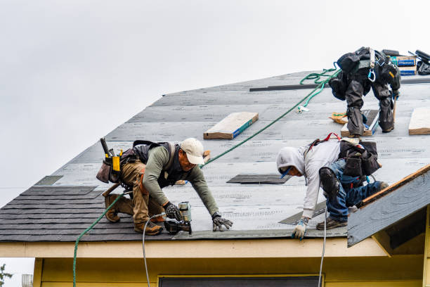 Professional Flat Roof Repair technician working in Sardinia, OH